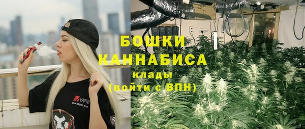 гидра Покров