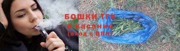 спиды Пересвет