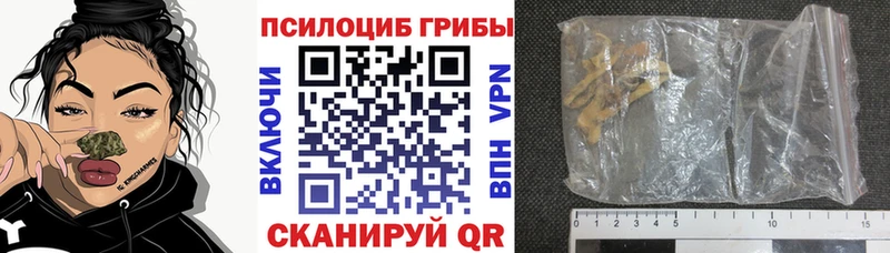 Купить Сольвычегодск Псилоцибиновые грибы Psilocybine cubensis